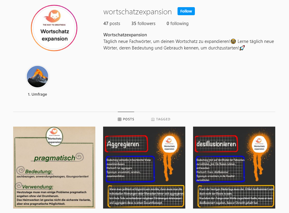 Tobias Instagram Wortschatzexpansion